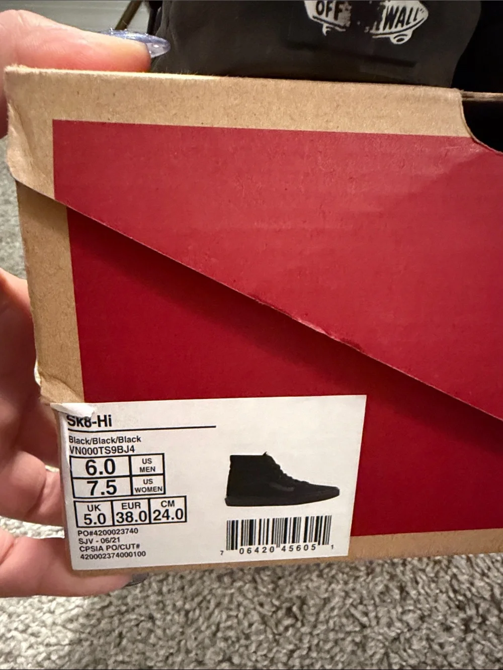 Vans men sk8